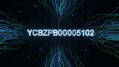 YCBZPB00005102