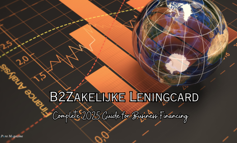 b2zakelijke leningcard