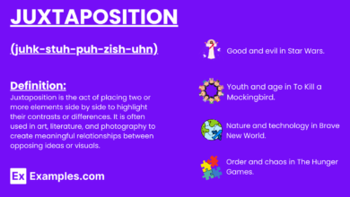 juxtaposition examples